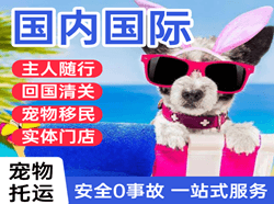 恩施许家坪空运代理国际宠物托运 【国